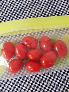 【龍愛】ミニトマトの保存方法-レシピのメイン写真