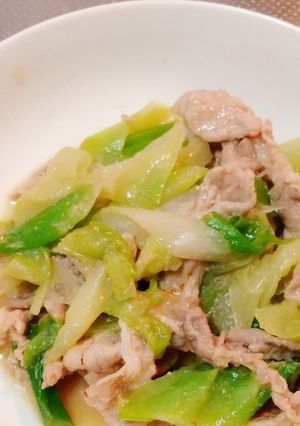 懐かしい田舎の味☆豚肉とネギのみそ炒め☆-レシピのメイン写真