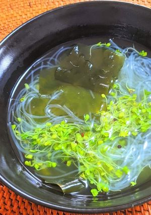 スプラウトとわかめ・春雨のスープ-レシピのメイン写真