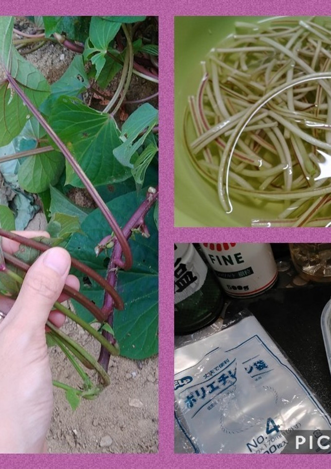 サツマイモ茎(芋ずる)冷凍保存(簡単)-レシピのメイン写真