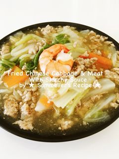 白菜と挽肉の野菜炒め☆中華風餡かけ旨煮-レシピのメイン写真