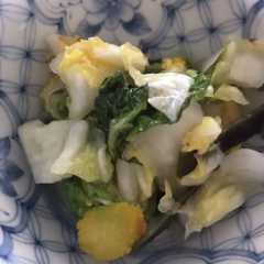 รูปของ 白菜のあっさり漬け