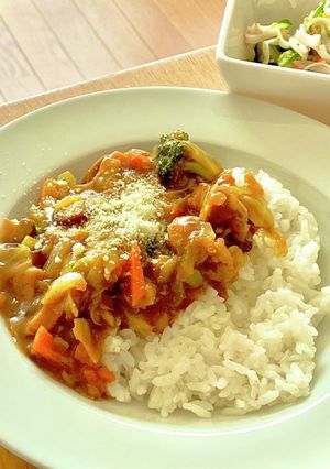 キャベツカレー^_^ タロの弁当番外編-レシピのメイン写真