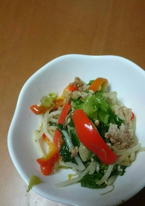 カラフル肉野菜炒め！-レシピのメイン写真