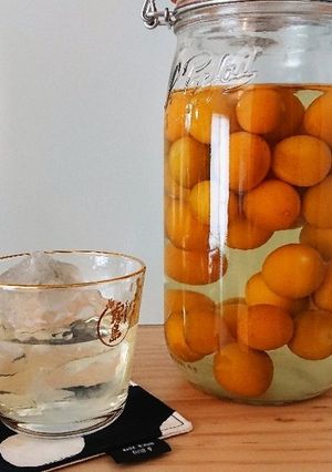 金柑酒-レシピのメイン写真