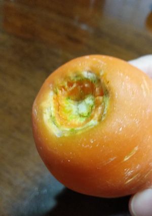 ニンジンを長持ちさせるコツ-レシピのメイン写真