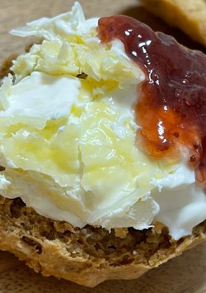 ヨーグルティアで自家製クロテッドクリーム-レシピのメイン写真