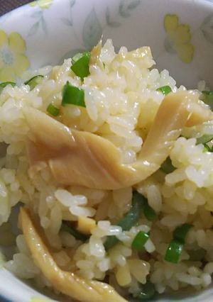 メンマチャーハン❗️-レシピのメイン写真