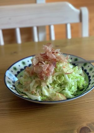 体のリセット♡無限に食べられる白菜サラダ-レシピのメイン写真