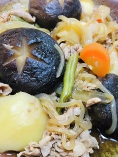 夕飯定番料理・豚肉の肉じゃが・柔らか野菜-レシピのメイン写真