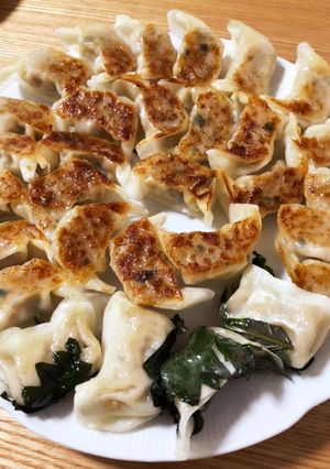 チルド餃子アレンジ　青じそ巻き餃子-レシピのメイン写真