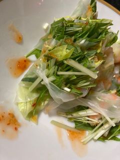 野菜たっぷり生春巻き-レシピのメイン写真