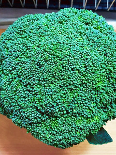 長持ちのコツ☆ブロッコリーの冷蔵庫保存法-レシピのメイン写真