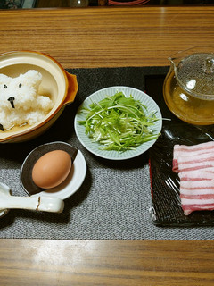 ヨウサマの減塩ワンちゃん温泉(お鍋)-レシピのメイン写真