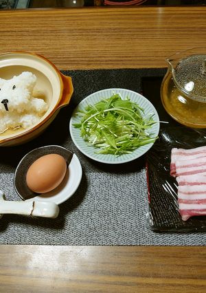 ヨウサマの減塩ワンちゃん温泉(お鍋)-レシピのメイン写真