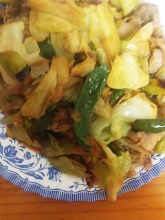 簡単♪膵炎&肝機能に優しい回鍋肉♪-レシピのメイン写真