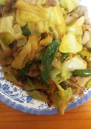 簡単♪膵炎＆肝機能に優しい回鍋肉♪-レシピのメイン写真