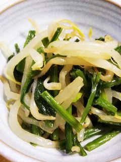 もやしとほうれん草のからし和え-レシピのメイン写真