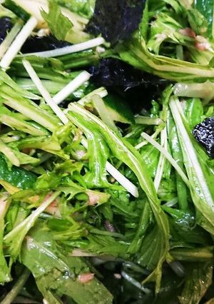 シャキシャキ韓国風水菜サラダ-レシピのメイン写真