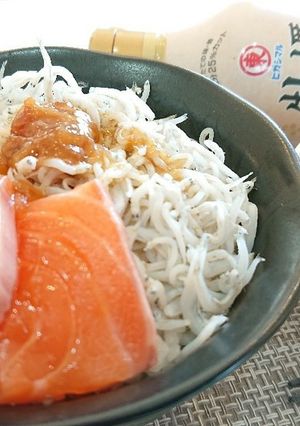 お外で食べるしらす丼のタレ-レシピのメイン写真