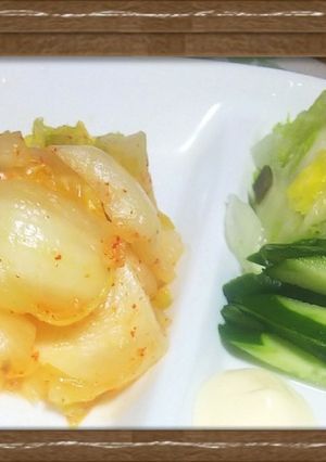 白菜を浅漬けして☆★2味に漬け物★☆-レシピのメイン写真