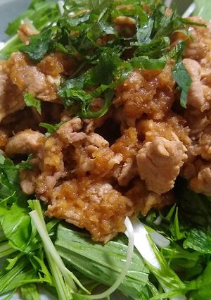豚肉のおろしポン酢　シャキシャキ水菜添え-レシピのメイン写真