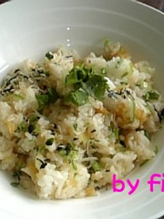 簡単てんかすでタヌキご飯-レシピのメイン写真