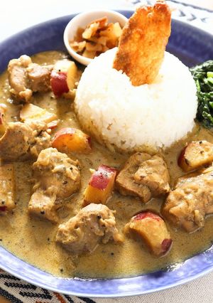 黒ごま豆乳のほっこりチキンカレー-レシピのメイン写真