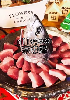 海釣り ソウダガツオ 刺身 釣り当日限定-レシピのメイン写真
