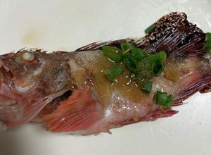 メバルの酒蒸し大根おろしゆず仕立て-レシピのメイン写真