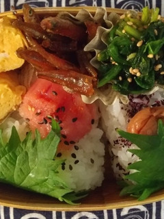 ☆わっぱ弁当生活77-レシピのメイン写真
