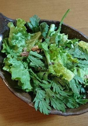 焼き鯖サラダ-レシピのメイン写真
