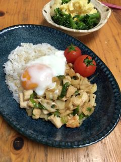 シャキシャキ蓮根と鶏胸肉の甘辛丼-レシピのメイン写真
