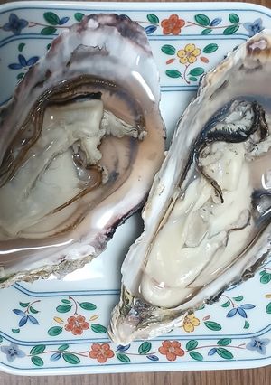 蒸し汁も味わう!蒸し牡蠣(殻付き)-レシピのメイン写真