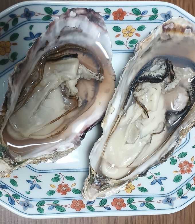 蒸し汁も味わう！蒸し牡蠣(殻付き)-レシピのメイン写真
