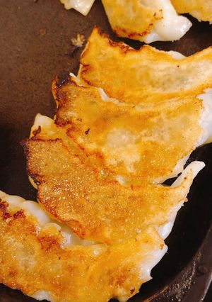ふつうの餃子-レシピのメイン写真