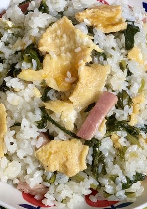 大根菜の混ぜご飯-レシピのメイン写真