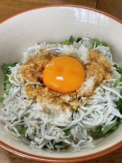 釜揚げしらす丼♪-レシピのメイン写真