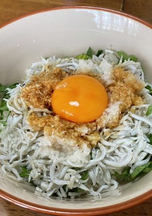 釜揚げしらす丼♪-レシピのメイン写真