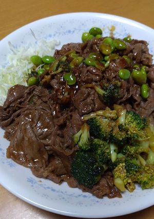焼くだけ簡単！あっさり焼肉サラダ♪-レシピのメイン写真