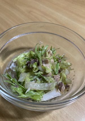サバ缶でおろし大根マヨサラダ-レシピのメイン写真