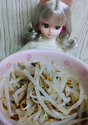 リカちゃん♡もやし都こんぶ和えꕤ…˖*-レシピのメイン写真