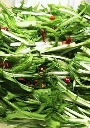 水菜の塩漬け 安い 簡単 美味しい-レシピのメイン写真