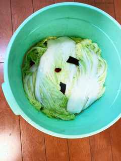 白菜の一枚漬け-レシピのメイン写真