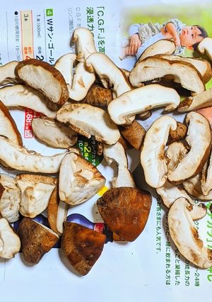 自家製干し椎茸-レシピのメイン写真