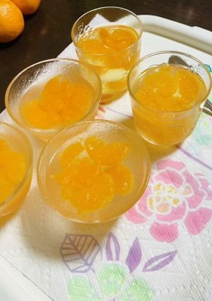 残り物みかんでゼリー♬-レシピのメイン写真