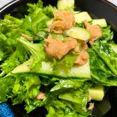 รูปของ ツナとわさび菜の中華風サラダ