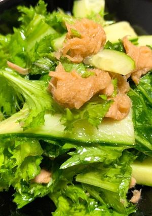 ツナとわさび菜の中華風サラダ-レシピのメイン写真