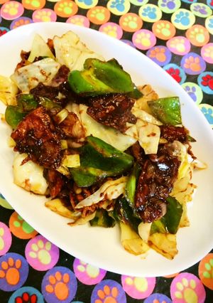 豚肉キャベツピーマンで甘辛回鍋肉味濃いめ-レシピのメイン写真