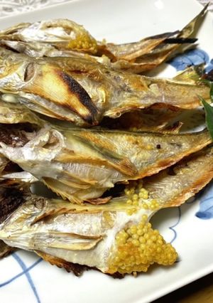 季節ハタハタの塩焼き-レシピのメイン写真